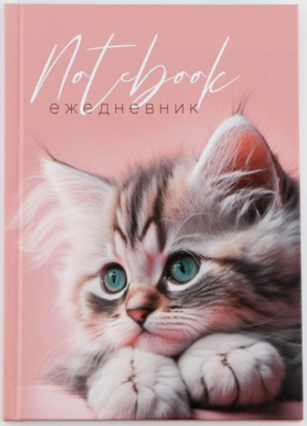 Ежедневник недатированный Notebook «Котёнок», 80 л., линия