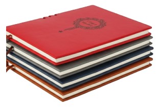 Ежедневник недатированный с ручкой «Лайт», 150*205 мм, 100 л., линия, ассорти