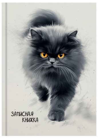 Книжка записная А6 «Пушистый кот-5», 105*150 мм, 96 л., клетка Книжка записная А6 «Пушистый кот-5», 105*150 мм, 96 л., клетка