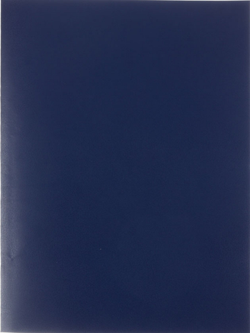 Тетрадь общая А4, 96 л. на скобе Buro, 200*270 мм, клетка, синяя Тетрадь общая А4, 96 л. на скобе Buro, 200*270 мм, клетка, синяя