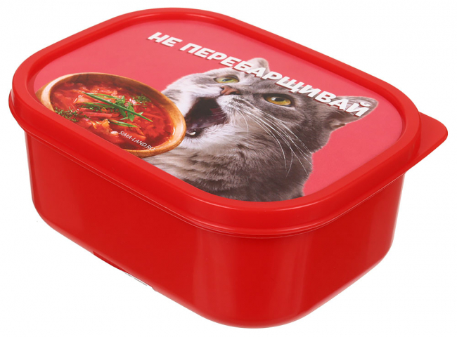 Ланч-бокс прямоугольный 0,5 л, «Не перебарщивай» Ланч-бокс прямоугольный 0,5 л, «Не перебарщивай»