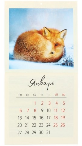 Календарь настенный перекидной на 2020 год OfficeSpace, 200*200 мм, 12 л., Animals