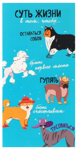 Блок бумаги для записей с отрывными листами Sima-Land, 75*150 мм, 3 блока*30 л., «Суть жизни»
