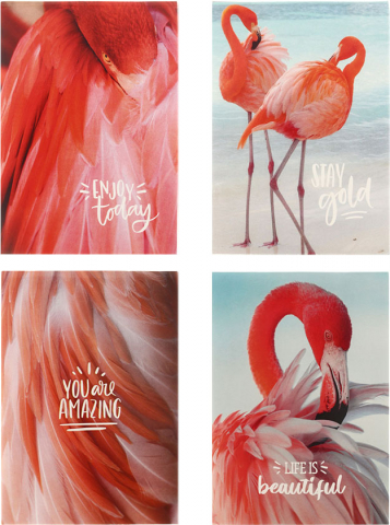 Блокнот на скобе SchoolFormat (А6), 105*150 мм, 40 л., клетка, «Нежный фламинго», ассорти