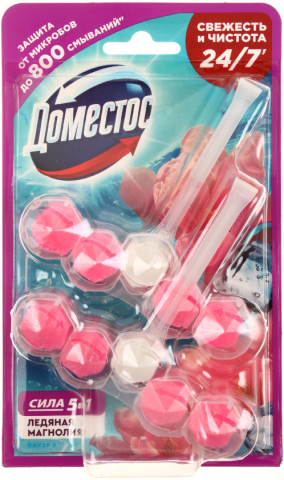 Блок для унитаза в пластиковом подвесе Domestos Power5, 2*55 г, «Ледяная магнолия»