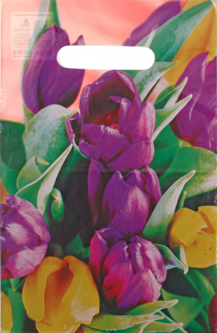 Пакет упаковочный «Артпласт», 20*30 см, «Кассандра»