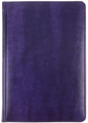 Ежедневник недатированный Berlingo xGold, 143*210 мм, 160 л., фиолетовый Ежедневник недатированный Berlingo xGold, 143*210 мм, 160 л., фиолетовый