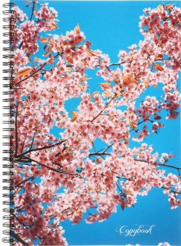 Тетрадь общая А4, 80 л. на гребне «Природа», 200*285 мм, клетка, «Пора цветения»