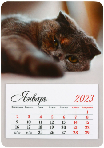 Календарь отрывной на магните на 2023 год «OfficeSpace», 95*135 мм, «Mono - Милый кот»