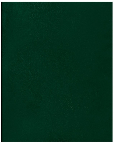 Тетрадь общая А4, 96 л. на скобе BG 200×270 мм, клетка, зеленая