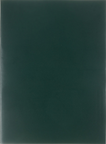 Тетрадь общая А4, 96 л. на скобе Listoff, 200*275 мм, клетка, зеленая Тетрадь общая А4, 96 л. на скобе Listoff, 200*275 мм, клетка, зеленая