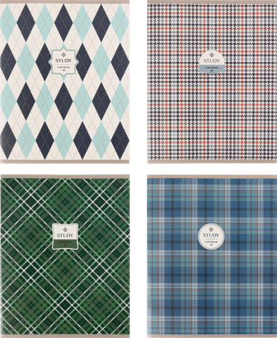 Тетрадь общая А5, 48 л. на скобе BG Study, 163*205 мм, клетка, ассорти (цена за 1 шт.)