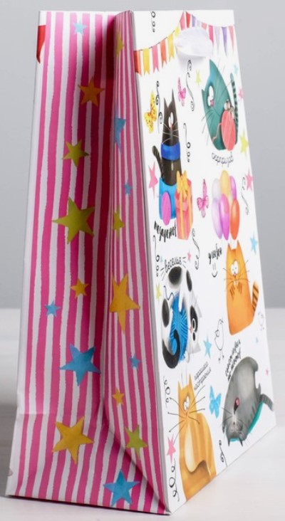 Пакет подарочный Sima-Land, 12*15*5,5 см, «Забавные коты» Пакет подарочный Sima-Land, 12*15*5,5 см, «Забавные коты»