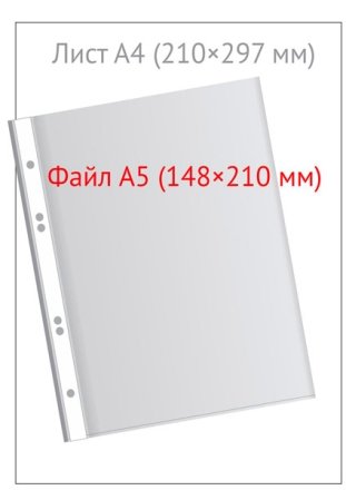 Файл А5 перфорированный inФормат, 30 мкм, глянцевый, гладкий