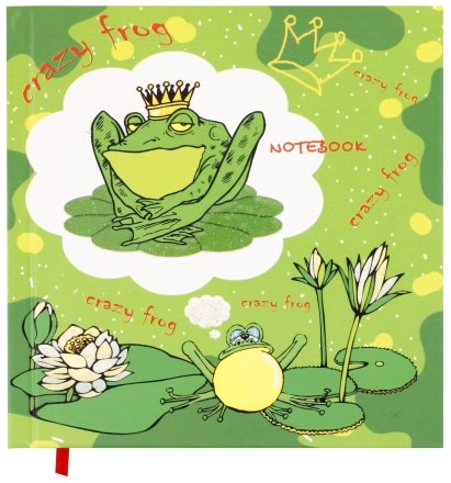 Книжка записная детская в подарочной коробке, 145*155*30 мм, 80 л., линия, «Царевна лягушка»