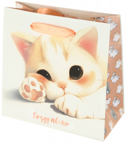 Пакет подарочный Meshu 20×20×10 см, Lovely Kitten