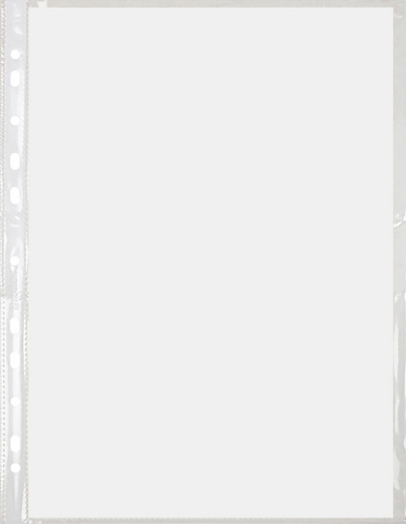 Файл А4 перфорированный Brauberg, 45 мкм, гладкий, глянцевый, 218*300 мм (до 50 л.) Файл А4 перфорированный Brauberg, 45 мкм, гладкий, глянцевый, 218*300 мм (до 50 л.)