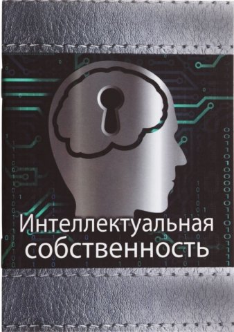 Книжка записная «Проф-пресс», 100*140 мм, 32 л., клетка, «Интеллектуальная собственность»