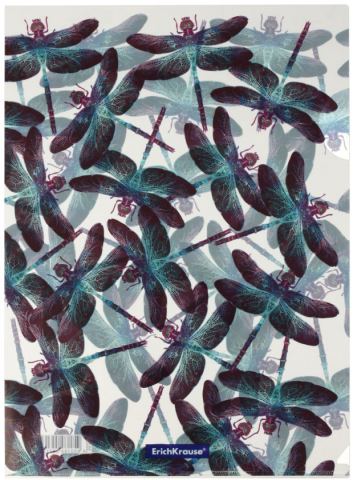 Папка-уголок пластиковая ErichKrause (с рисунком), толщина пластика 0,16 мм, Neon Dragonflies Папка-уголок пластиковая ErichKrause (с рисунком), толщина пластика 0,16 мм, Neon Dragonflies