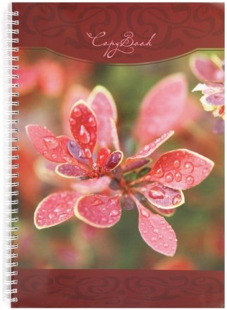 Тетрадь общая А4, 96 л. на гребне «Утренняя роса», 205*295 мм, клетка 