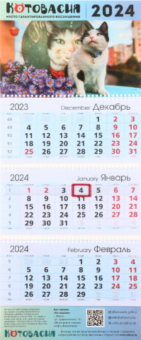 Календарь настенный трехрядный на 2024 год «Котовасия», 29,5*72 см, «Хранители Котовасии — Пако»