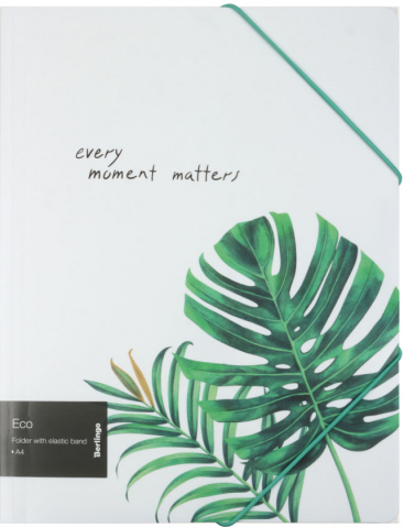 Папка пластиковая на резинке Berlingo (с рисунком), толщина пластика 0,6 мм, Eco