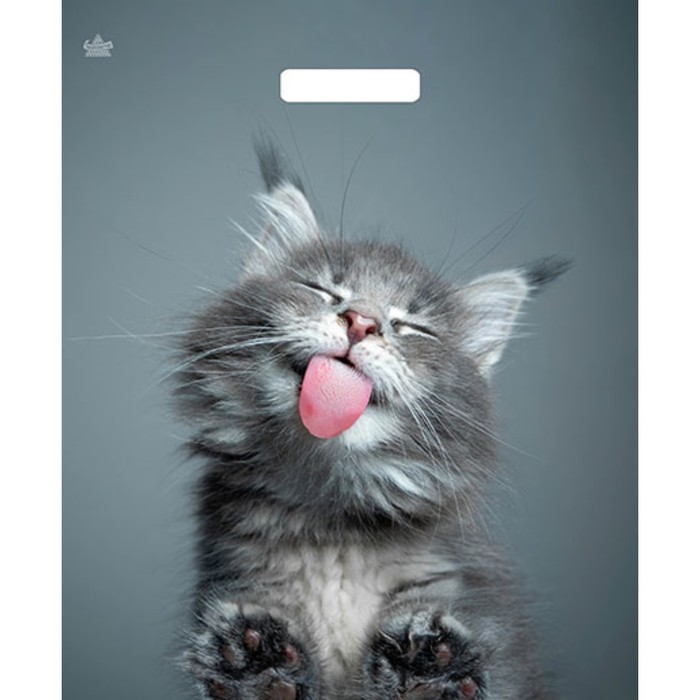 Пакет подарочный полиэтиленовый с вырубными ручками 38×45 см, 60 мкм, «Кот» Пакет подарочный полиэтиленовый с вырубными ручками 38×45 см, 60 мкм, «Кот»