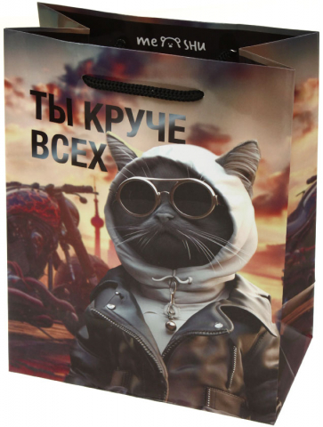 Пакет подарочный Meshu, 18*23*10 см, Cool Guy Пакет подарочный Meshu, 18*23*10 см, Cool Guy