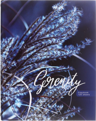 Тетрадь общая А5, 120 л. на кольцах BG, 165*215 мм, клетка, Blue Serenity Тетрадь общая А5, 120 л. на кольцах BG, 165*215 мм, клетка, Blue Serenity