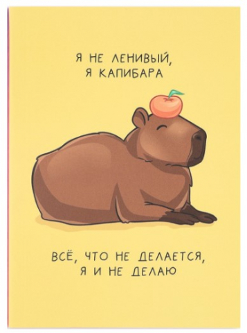 Ежедневник недатированный «Капибара» (А6), 100*137 мм, 80 л., точки