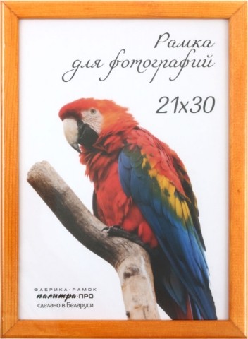 Фоторамка деревянная «Палитра», 21*30 см, клен