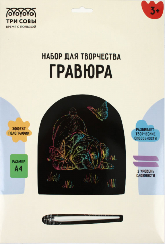 Набор для творчества «Гравюра. Три совы» А4 «Мопс и бабочка», с голографическим эффектом