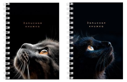 Книжка записная на гребне «Взгляды котиков», 106*144 мм, 80 л., клетка, ассорти Книжка записная на гребне «Взгляды котиков», 106*144 мм, 80 л., клетка, ассорти