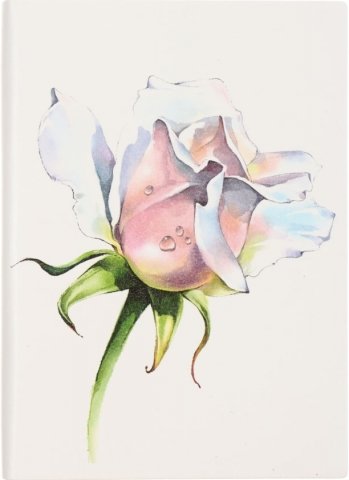 Ежедневник недатированный «Феникс+», 120*170 мм, 160 л., «Роза»