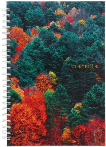 Тетрадь общая А5, 100 л. на гребне «Канц-Эксмо», 142*210 мм, 100 л., клетка, «Пейзаж. Краски леса» Тетрадь общая А5, 100 л. на гребне «Канц-Эксмо», 142*210 мм, 100 л., клетка, «Пейзаж. Краски леса»