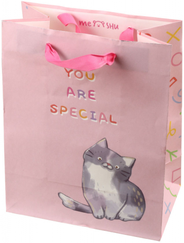 Пакет подарочный крафт Meshu 18×23×10 см, You Are Special, выборочный УФ-лак