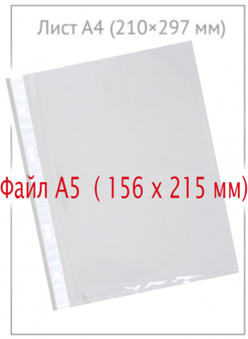 Файл А5 перфорированный Durable, 60 мкм, гладкий, глянцевый, 156*215 мм (до 80 л.) Файл А5 перфорированный Durable, 60 мкм, гладкий, глянцевый, 156*215 мм (до 80 л.)