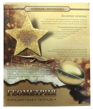 Тетрадь предметная А5, 48 л. на скобе «Золотая лихорадка», 165*205 мм, клетка, «Геометрия»