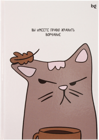 Книжка записная «Бизнес-блокнот» BG А5 (80 л.), 150*210 мм, 80 л., клетка, «Ворчание»