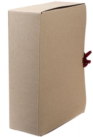Короб архивный из картона на завязках «Деловые ресурсы» , корешок 100 мм, серый