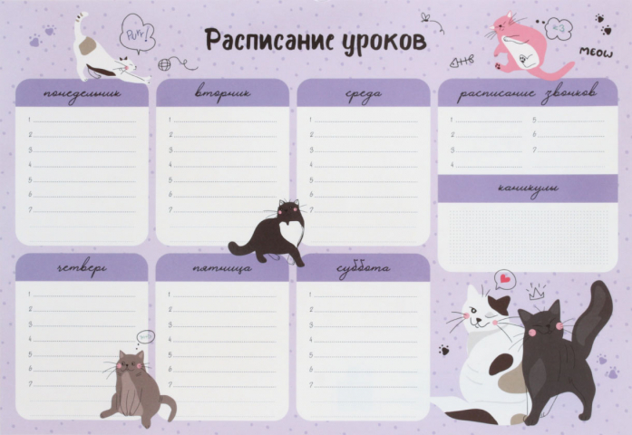 Расписание уроков с расписанием звонков ARTspace «Пиши-Стирай» А3 (297×420 мм), «Милый кот»