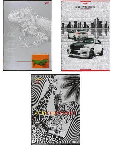 Тетрадь общая А4, 96 л. на скобе «Серебро», 205*297 мм, клетка, ассорти Тетрадь общая А4, 96 л. на скобе «Серебро», 205*297 мм, клетка, ассорти