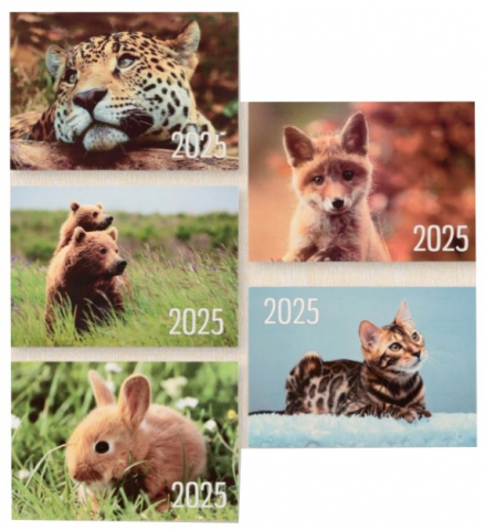 Календарь карманный на 2025 год Sima-Land, 7*10 см, «Животные», ассорти Календарь карманный на 2025 год Sima-Land, 7*10 см, «Животные», ассорти