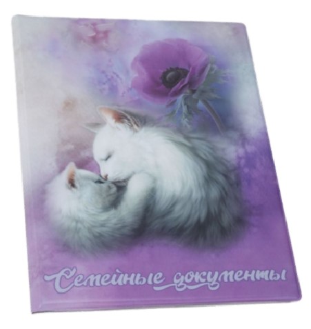 Папка для семейных документов 22,5× 31 см, «Котенок» (9 листов)