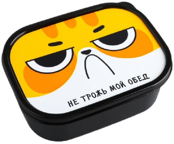Ланч-бокс прямоугольный 0,5 л, «Не трожь мой обед» Ланч-бокс прямоугольный 0,5 л, «Не трожь мой обед»