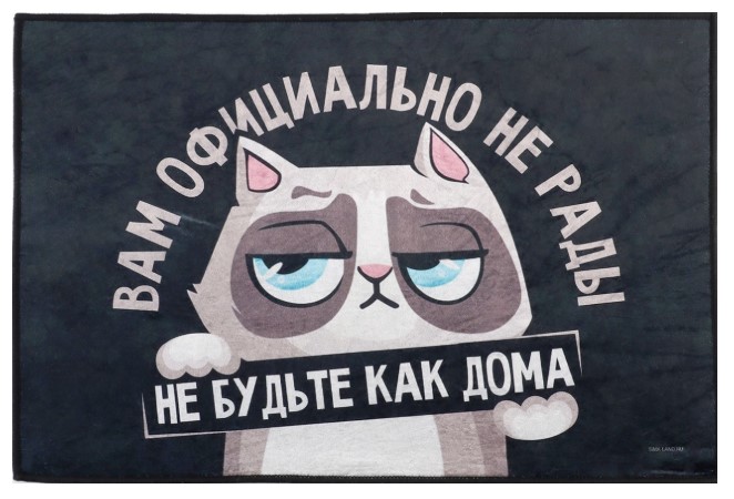 Коврик придверный полиэстровый Sima-Land 40×60 см, «Кот»