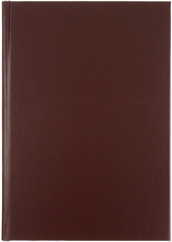 Ежедневник датированный на 2026 год Ideal New, 146*206 мм, 168 л., коричневый