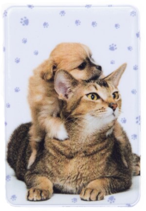 Обложка для проездного Sima-Land, 6,5*0,3*9,5 см, «Друзья»