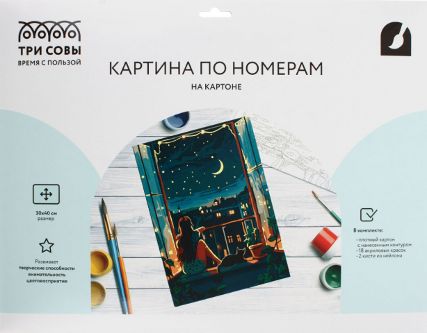 Картина по номерам на картоне «Три совы» 30×40 см, «Звездная ночь»