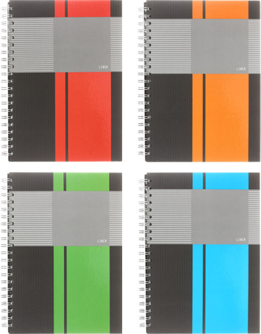 Тетрадь общая А4, 100 л. на гребне Liner, 205*285 мм, клетка, ассорти Тетрадь общая А4, 100 л. на гребне Liner, 205*285 мм, клетка, ассорти